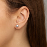 Sterling Silver Shell Pearl Earrings